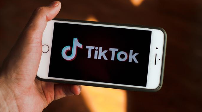 固原装修费发票 tik（tok做带货上哪学习 tiktok带货如何发货）